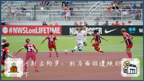 对方肘击约罗，利马面部遭殃却被罚下