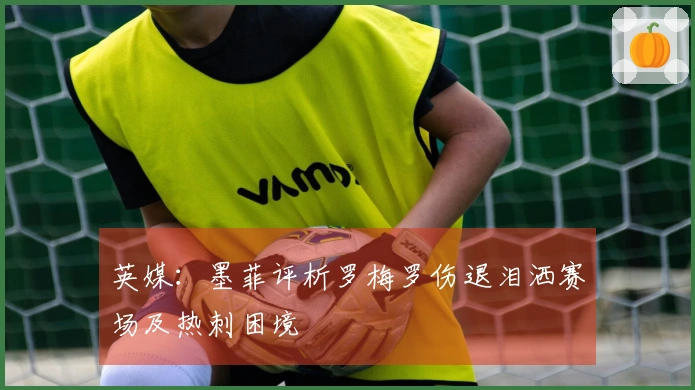 英媒：墨菲评析罗梅罗伤退泪洒赛场及热刺困境