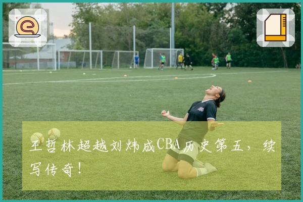 王哲林超越刘炜成CBA历史第五，续写传奇！